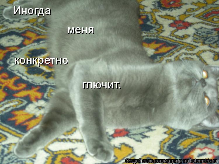 Котоматрица: Иногда меня конкретно глючит.