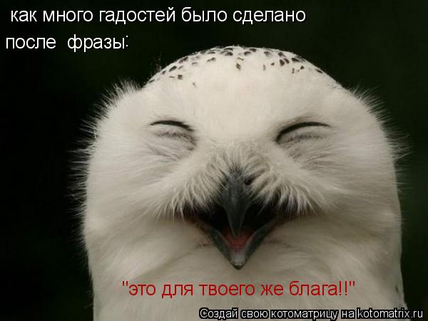 как много гадостей было сделано после фразы "это для твоего же блага!!" :... Котоматрица: как много гадостей было сделано после фразы "это для твоего же блага!!" :