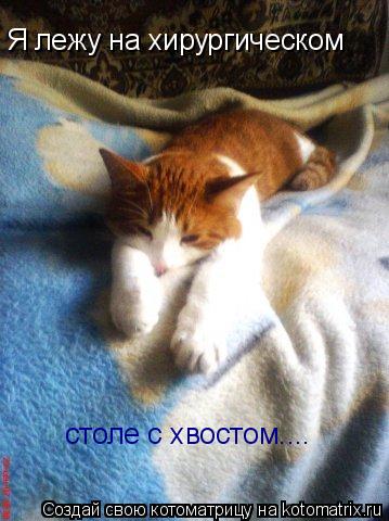 Я лежу на хирургическом столе с хвостом....... Котоматрица: Я лежу на хирургическом столе с хвостом....