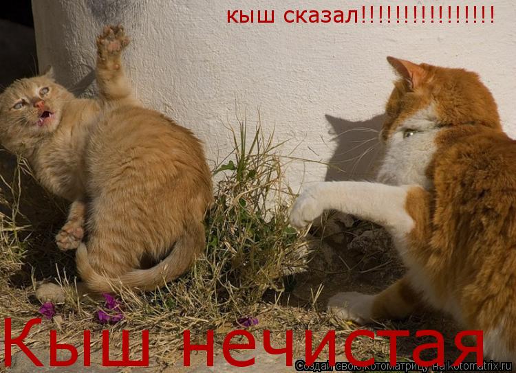 Кыш нечистая кыш сказал!!!!!!!!!!!!!!!!... Котоматрица: Кыш нечистая кыш сказал!!!!!!!!!!!!!!!!