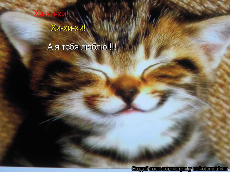 Котоматрица: Хи-хи-хи! Хи-хи-хи! А я тебя люблю!!!!