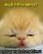 ещё пять минут... Котоматрица: ещё пять минут