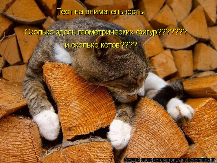 Тест на внимательность- Сколько здесь геометрических фигур??????? и сколько котов????... Котоматрица: Тест на внимательность- Сколько здесь геометрических фигур??????? и сколько котов????