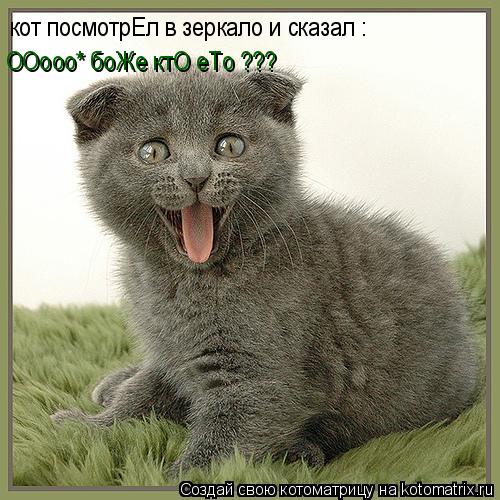 кот посмотрЕл в зеркало и сказал : ООооо* боЖе ктО еТо ???... Котоматрица: кот посмотрЕл в зеркало и сказал : ООооо* боЖе ктО еТо ???