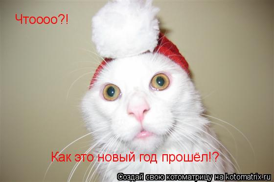 Котоматрица: Чтоооо?! Как это новый год прошёл!?