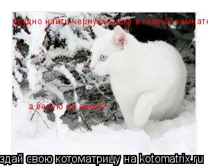 трудно найти черную кошку в темной комнате, а белую на снегу?... Котоматрица: трудно найти черную кошку в темной комнате, а белую на снегу?