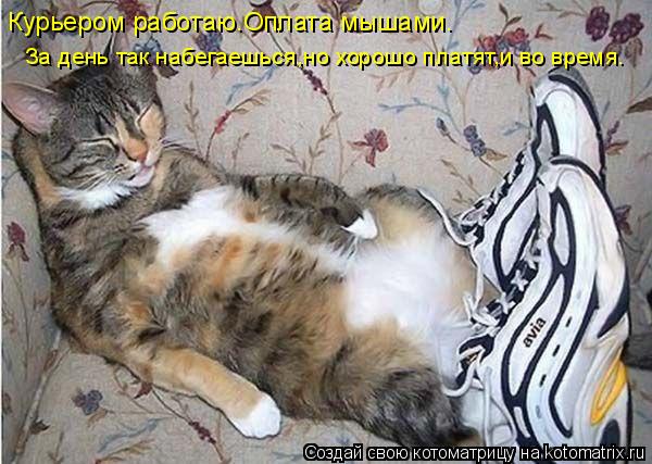 Котоматрица: Курьером работаю.Оплата мышами. За день так набегаешься,но хорошо платят,и во время.