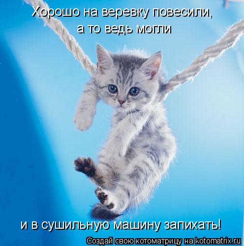 Хорошо на веревку повесили, а то ведь могли и в сушильную машину запихать!... Котоматрица: Хорошо на веревку повесили, а то ведь могли и в сушильную машину запихать!