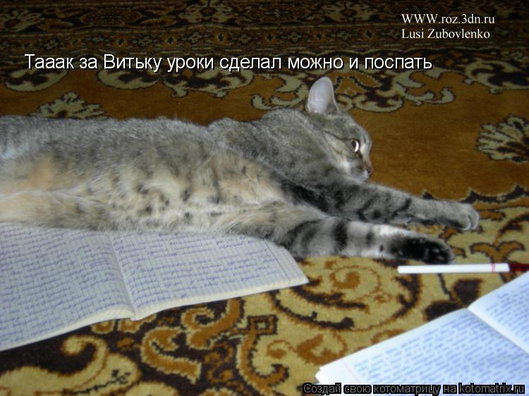 Тааак за Витьку уроки сделал можно и поспать... Котоматрица: Тааак за Витьку уроки сделал можно и поспать