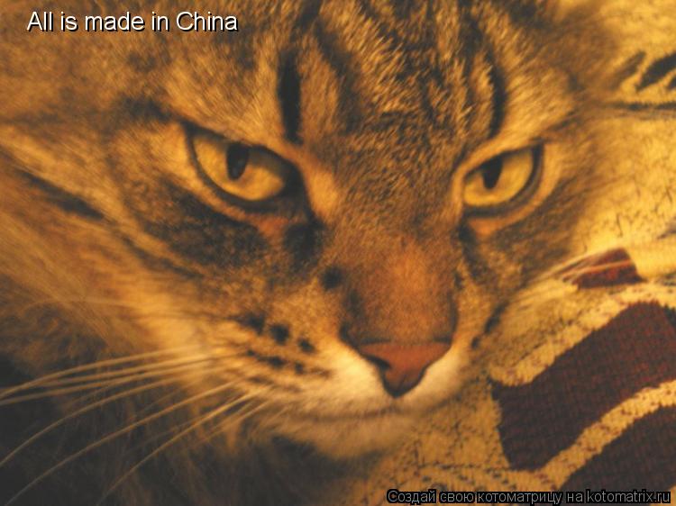 All is made in China... Котоматрица: All is made in China