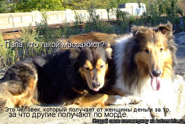- Папа, кто такой массажист? - Это человек, который получает от женщины деньги за то, за что другие п... Котоматрица: - Папа, кто такой массажист? - Это человек, который получает от женщины деньги за то, за что другие получают по морде.