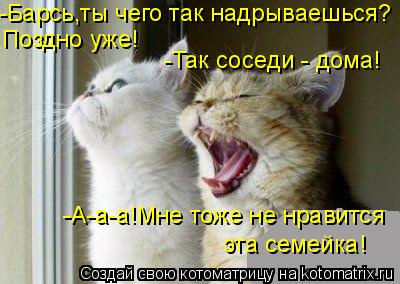 Котоматрица: -Барсь,ты чего так надрываешься? Поздно уже! -Так соседи - дома! -А-а-а!Мне тоже не нравится эта семейка!