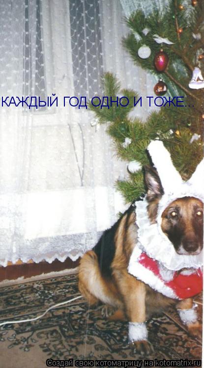 Котоматрица: КАЖДЫЙ ГОД ОДНО И ТОЖЕ...