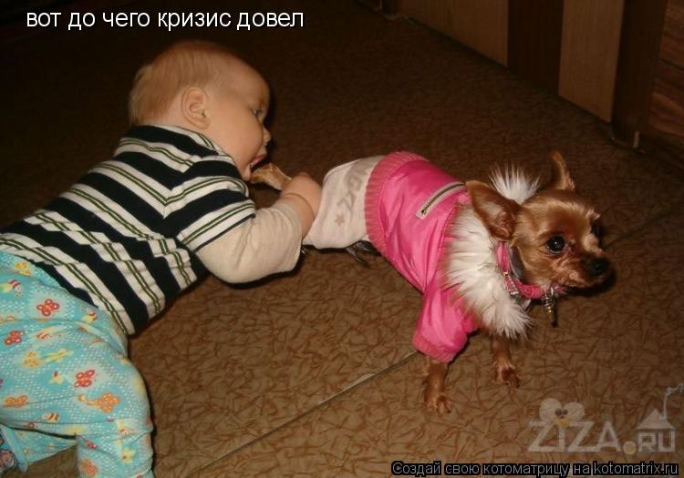 Котоматрица: вот до чего кризис довел