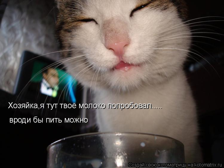 Котоматрица: Хозяйка,я тут твоё молоко попробовал..... вроди бы пить можно