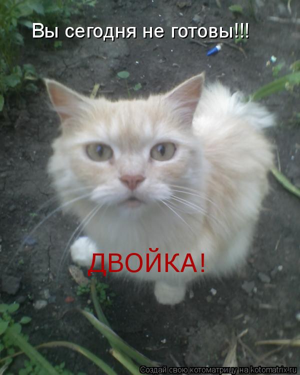 Котоматрица: Вы сегодня не готовы!!! ДВОЙКА!