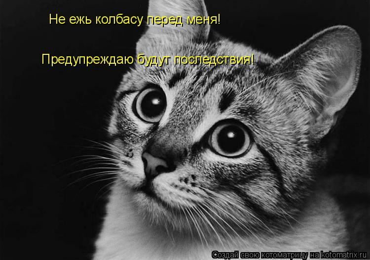Котоматрица: Предупреждаю будут последствия! Не ежь колбасу перед меня!