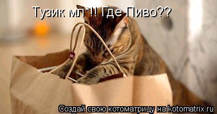 Котоматрица: Тузик мл*!! Где Пиво??