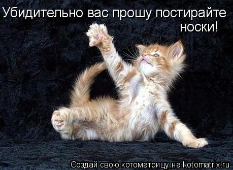 Убидительно вас прошу постирайте носки!... Котоматрица: Убидительно вас прошу постирайте носки!