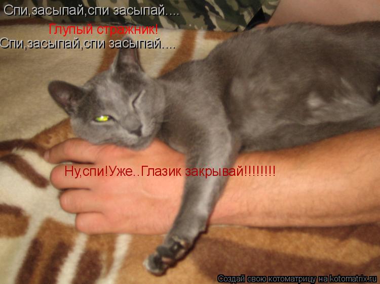 Котоматрица: Спи,засыпай,спи засыпай.... Глупый стражник! Спи,засыпай,спи засыпай.... Ну,спи!Уже..Глазик закрывай!!!!!!!!