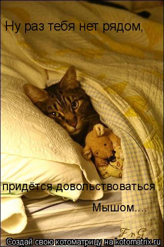 Котоматрица: Ну раз тебя нет рядом, Мышом.... придётся довольствоваться
