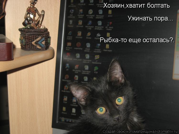 Котоматрица: Хозяин,хватит болтать Ужинать пора... Рыбка-то еще осталась?.