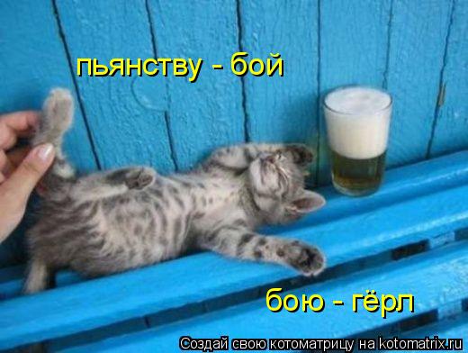 пьянству - бой бою - гёрл... Котоматрица: пьянству - бой бою - гёрл