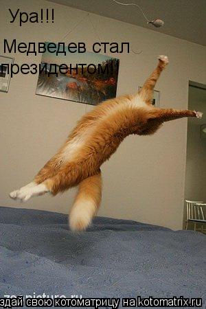 Котоматрица: Ура!!! Медведев стал президентом!!