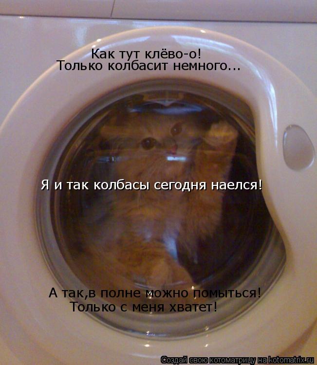 Как тут клёво-о! Только колбасит немного... А так,в полне можно помыться! Только с меня хватет! Я и т... Котоматрица: Как тут клёво-о! Только колбасит немного... А так,в полне можно помыться! Только с меня хватет! Я и так колбасы сегодня наелся!