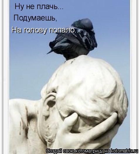Котоматрица: Ну не плачь... Подумаешь,  На голову попало...