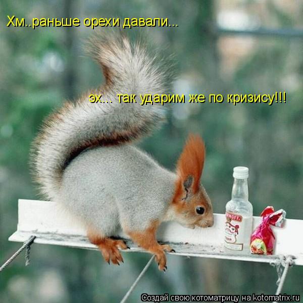 Котоматрица: Хм..раньше орехи давали... эх... так ударим же по кризису!!!