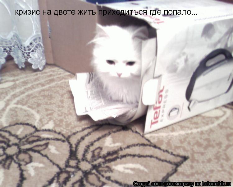 кризис на двоте жить приходитъся где попало...... Котоматрица: кризис на двоте жить приходитъся где попало...