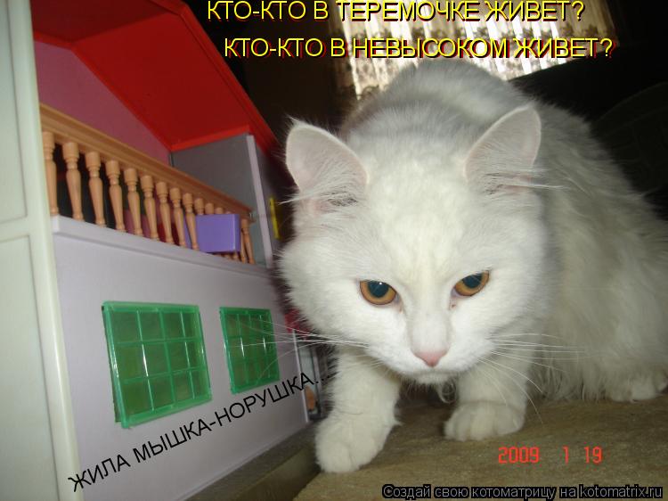 КТО-КТО В ТЕРЕМОЧКЕ ЖИВЕТ? КТО-КТО В НЕВЫСОКОМ ЖИВЕТ? КТО-КТО В НЕВЫСОКОМ ЖИВЕТ? КТО-КТО В ТЕРЕМОЧКЕ ... Котоматрица: КТО-КТО В ТЕРЕМОЧКЕ ЖИВЕТ? КТО-КТО В НЕВЫСОКОМ ЖИВЕТ? КТО-КТО В НЕВЫСОКОМ ЖИВЕТ? КТО-КТО В ТЕРЕМОЧКЕ ЖИВЕТ? ЖИЛА МЫШКА-НОРУШКА...
