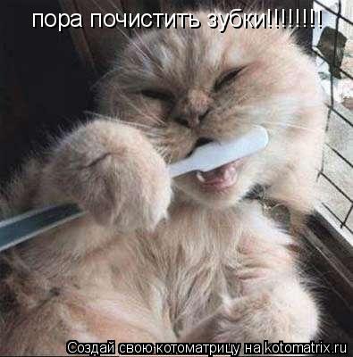 Котоматрица: пора почистить зубки!!!!!!!!