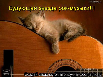 Котоматрица: Будующая звезда рок-музыки!!!