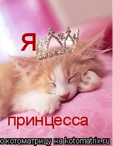 я принцесса... Котоматрица: я принцесса