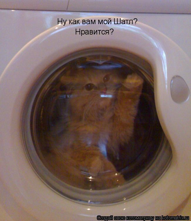 Котоматрица: Ну как вам мой Шатл? Нравится?