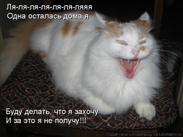 Ля-ля-ля-ля-ля-ля-ляяя Одна осталась дома я Буду делать, что я захочу И за это я не получу!!!... Котоматрица: Ля-ля-ля-ля-ля-ля-ляяя Одна осталась дома я Буду делать, что я захочу И за это я не получу!!!
