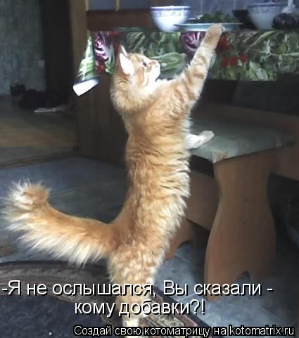 -Я не ослышался, Вы сказали - кому добавки?!... Котоматрица: -Я не ослышался, Вы сказали - кому добавки?!