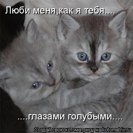 Котоматрица: Люби меня,как я тебя.... ....глазами голубыми....