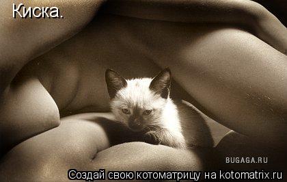Котоматрица: Киска.