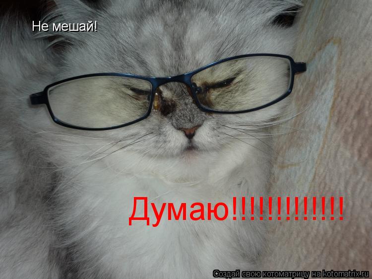 Котоматрица: Не мешай! Думаю!!!!!!!!!!!!!