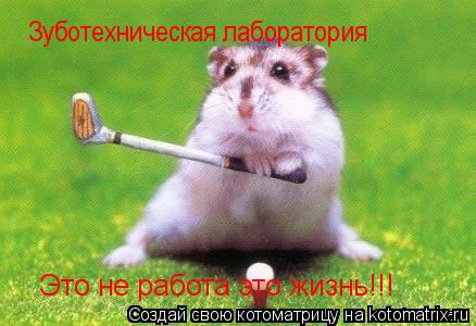 Зуботехническая лаборатория Это не работа Это не работа это жизнь!!!... Котоматрица: Зуботехническая лаборатория Это не работа Это не работа это жизнь!!!