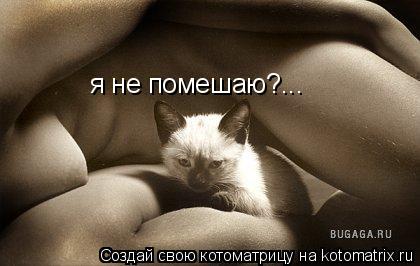 я не помешаю?...... Котоматрица: я не помешаю?...