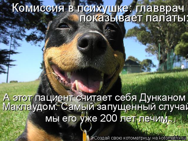 Комиссия в психушке: главврач показывает палаты: показывает палаты: А этот пациент считает себя Дун... Котоматрица: Комиссия в психушке: главврач показывает палаты: показывает палаты: А этот пациент считает себя Дунканом Маклаудом. Самый запущенный случ