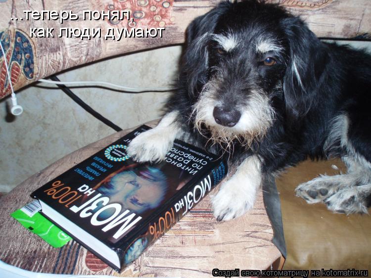 Котоматрица: ...теперь понял,  как люди думают