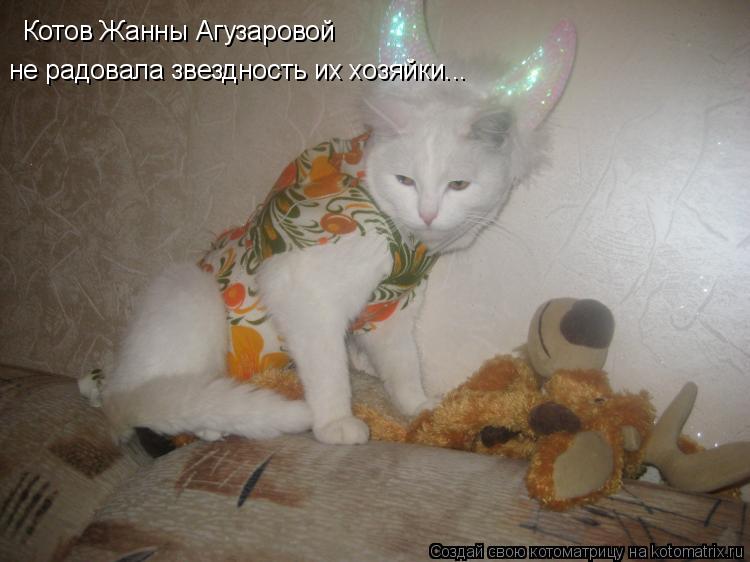 Котоматрица: Котов Жанны Агузаровой не радовала звездность их хозяйки...
