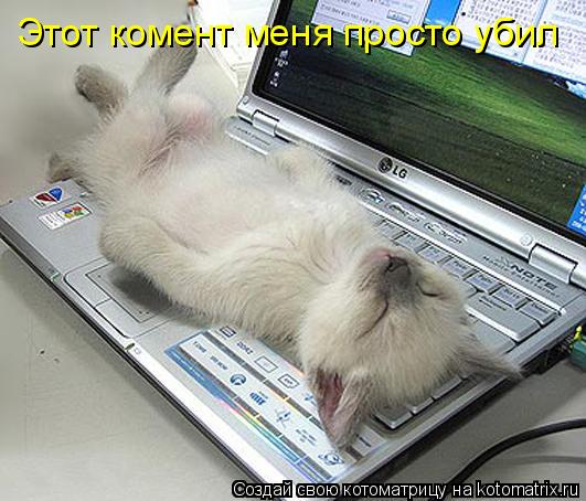 Котоматрица: Этот комент меня просто убил