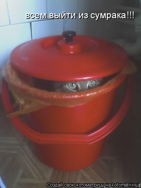 всем выйти из сумрака!!!... Котоматрица: всем выйти из сумрака!!!