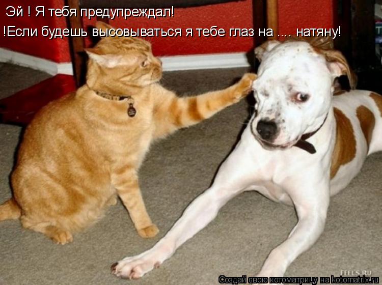 Эй ! Я тебя предупреждал! !Если будешь высовываться я тебе глаз на .... натяну!... Котоматрица: Эй ! Я тебя предупреждал! !Если будешь высовываться я тебе глаз на .... натяну!